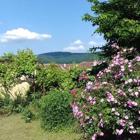 Jardin De Cure Villa Cluny Eksteriør bilde